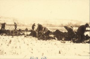Winter excavations at Peck 1 at the Meyersdale Fairgrounds.