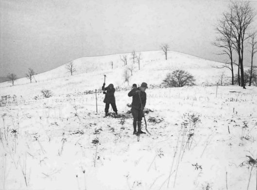 Winter excavations at the Gower site.