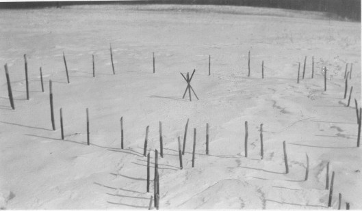 11crp1_2